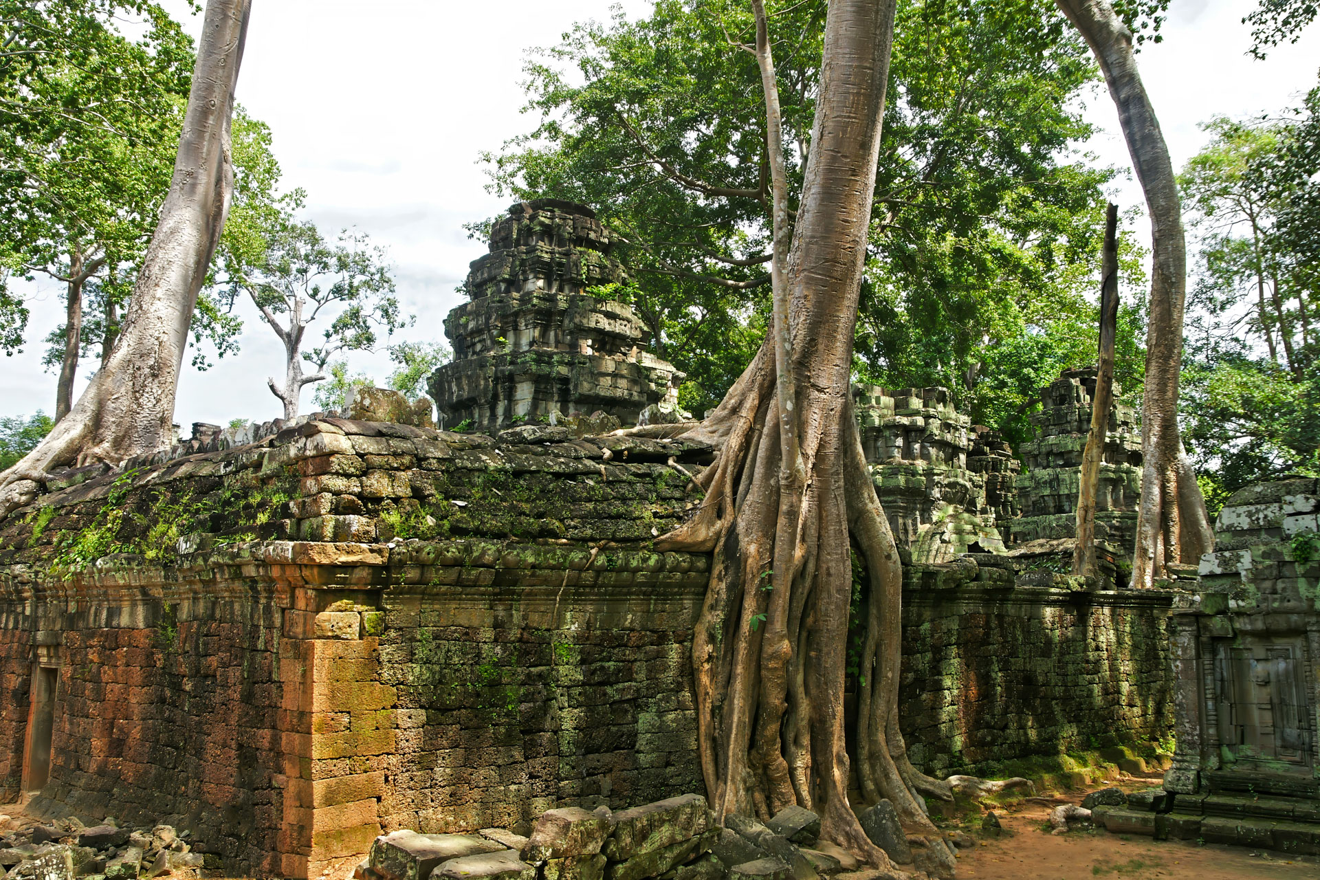 Ta Prohm ("königliches Kloster") ist ein zwischen dem späten 12. und frühen 13. Jahrhundert erbauter Tempel. Der Ta Prohm wurde während der Herrschaft des letzten großen Königs des Khmer-Reiches  erbaut, einem Anhänger des Mahayana-Buddhismus.